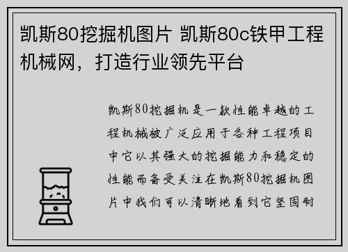 凯斯80挖掘机图片 凯斯80c铁甲工程机械网，打造行业领先平台