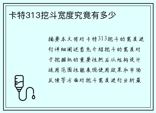 卡特313挖斗宽度究竟有多少